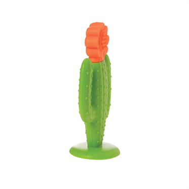 Manhattan Toy Diş Kaşıyıcı - Kaktüs