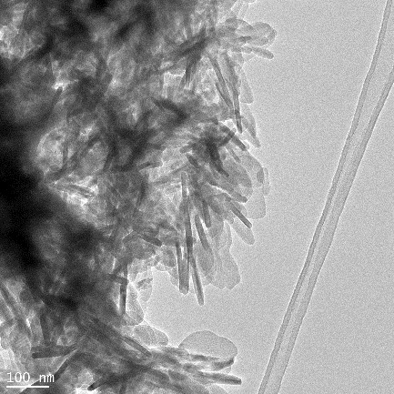 Bright-field TEM micrograph of beta TCP nanoparticles