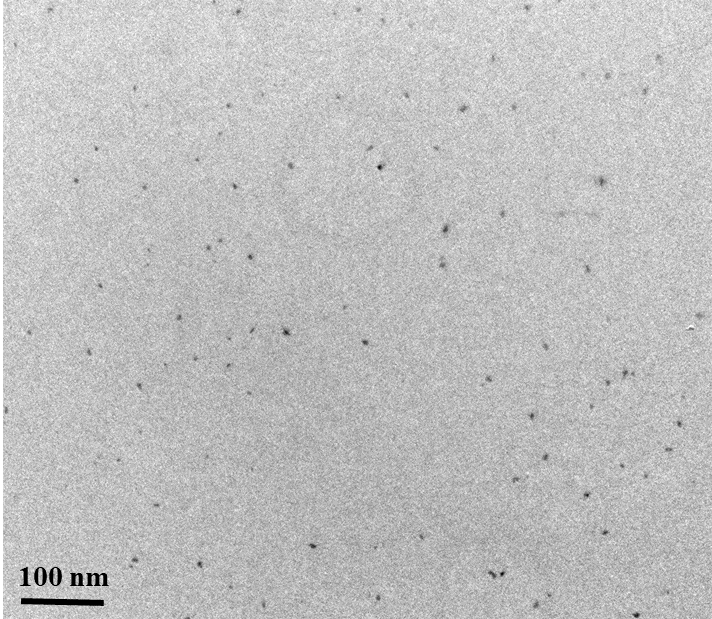 TEM pattern of red carbon quantum dots