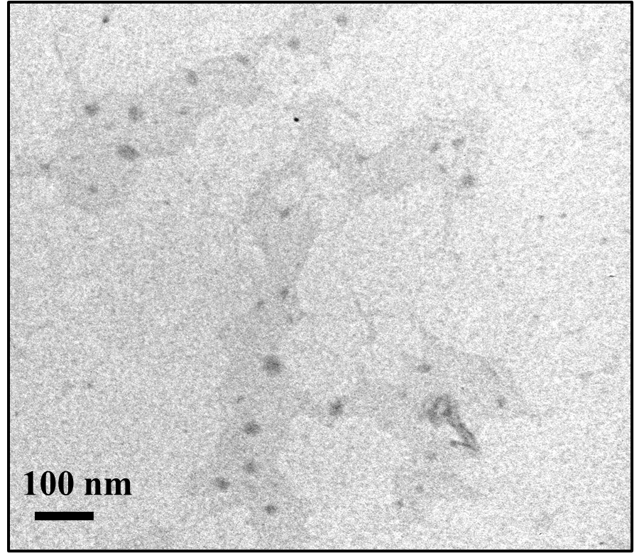 TEM pattern of yellow carbon quantum dots