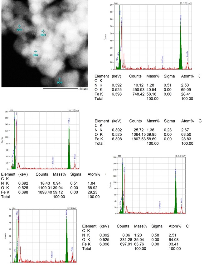 EDS point maps and composition of magnetic iron oxide nanoparticles
