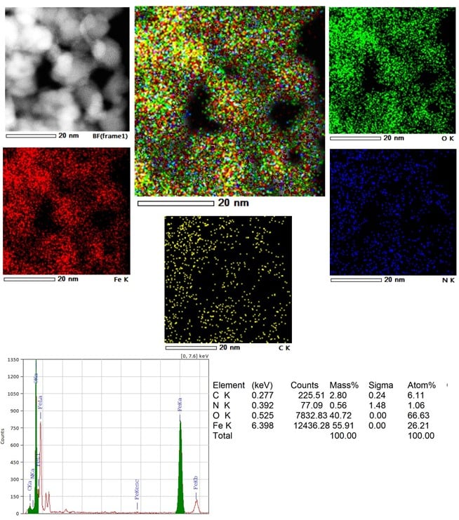 EDS map of magnetic iron oxide nanoparticles