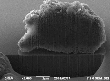 Focused Ion Beam Application Image 4
