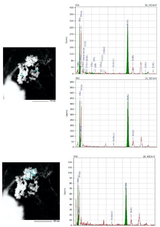 TEM-EDX of MQDs-Bright Green nanoparticle showing elemental maps of specific elements