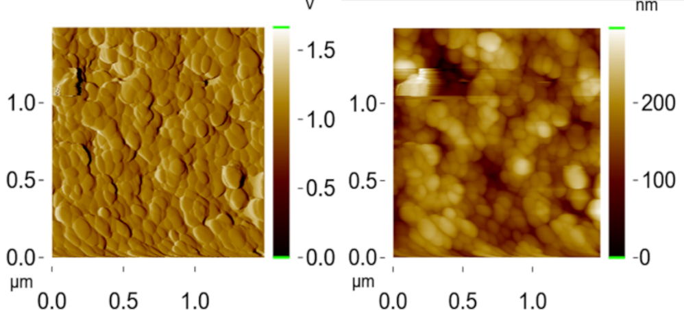 AFM images of hBN