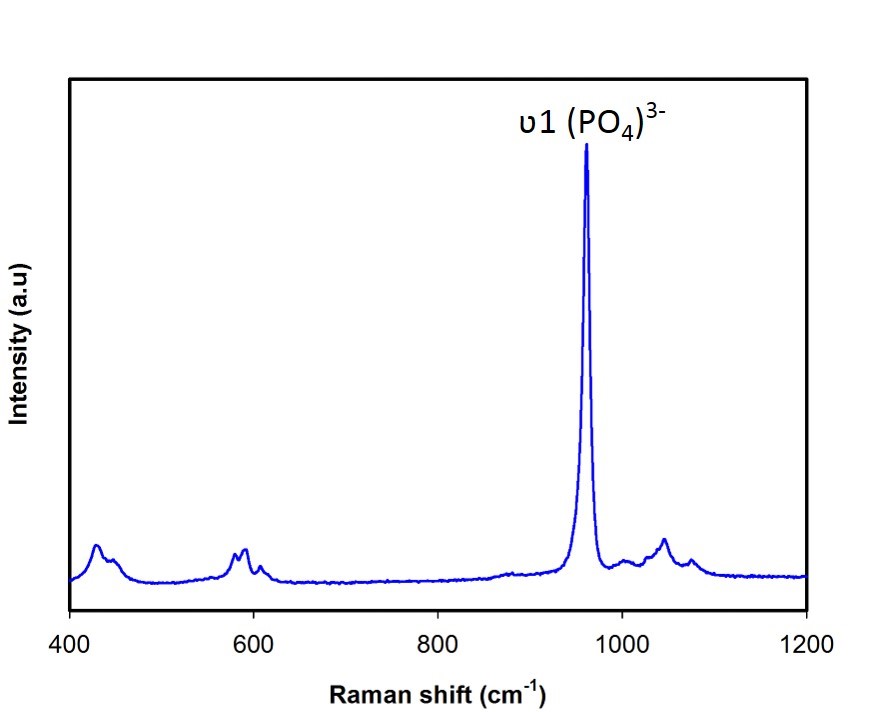 Raman spectrum of Hydroxyapatite nanoparticles