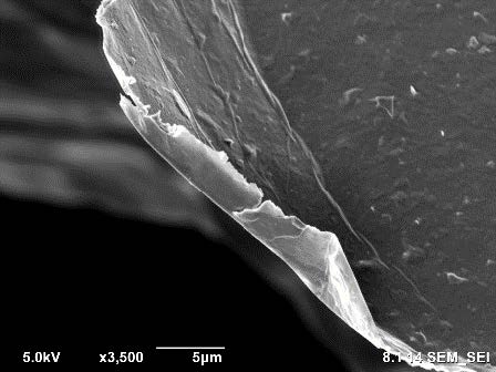 SEM image of Ti3C2Tx with different magnification