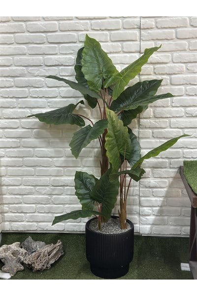 Yapay Fil Kulağı Ağacı 180cm 3 Gövdeli (saksı ile)