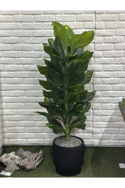 Yapay Singonyum Ağacı 180cm (saksı ile)