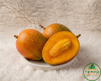 MANGO / ADET