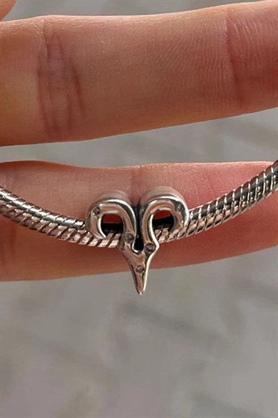 Burç Charm