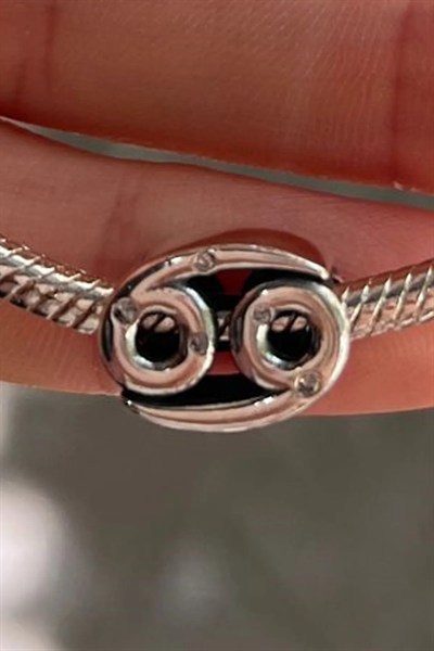 Burç Charm