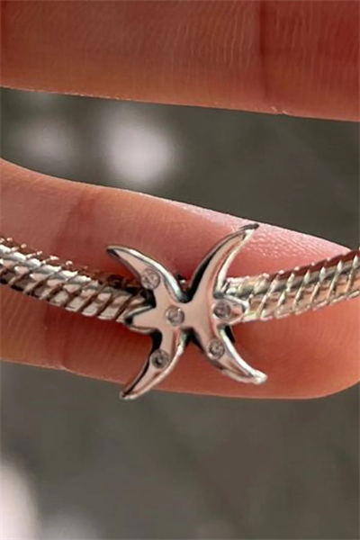 Burç Charm