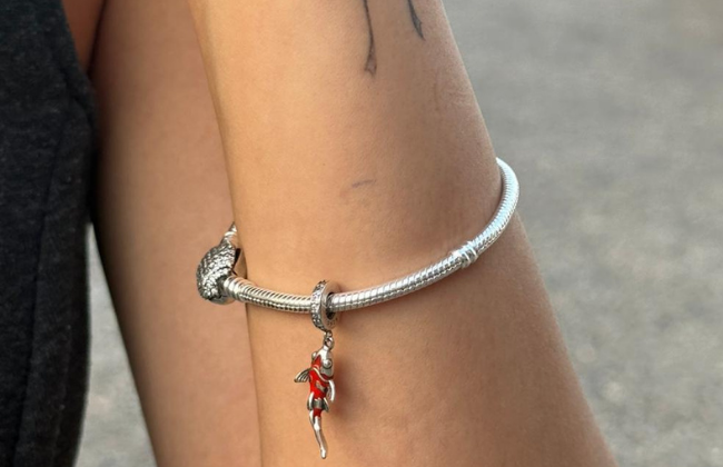 Charm Taşıyıcı