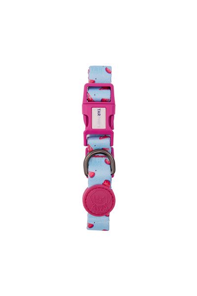 Berry Chic Boyun Tasması Fuşya
