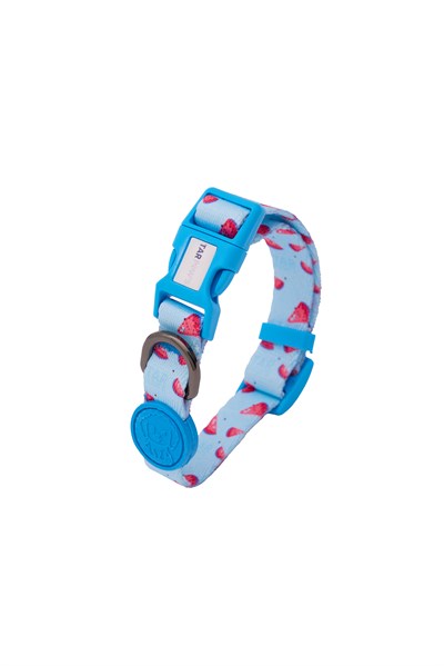 Berry Paw Boyun Tasması Mavi