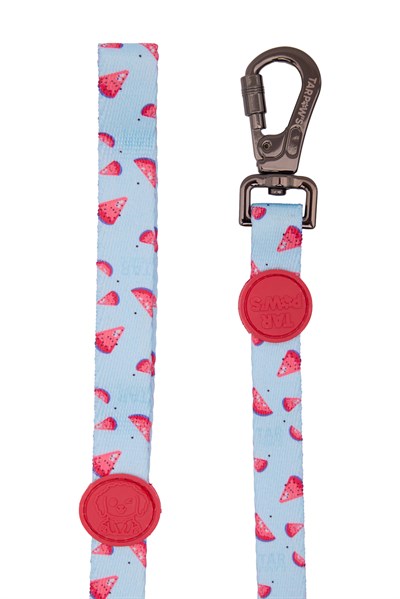 Berry Pop Gezdirme Tasması Kırmızı