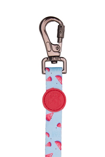Berry Pop Gezdirme Tasması Kırmızı