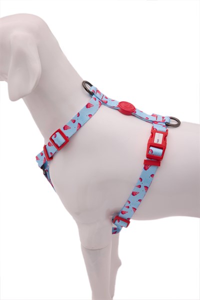 Berry Pop H Tipi Göğüs Tasması Kırmızı