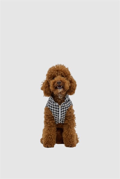 HAUTE HOUND ÇİFT TARAFLI YELEK KARIŞIK