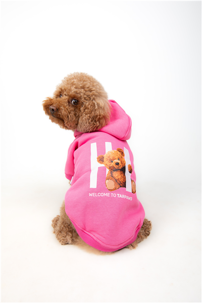 Hi Pink Kapüşonlu Sweatshirt Pembe