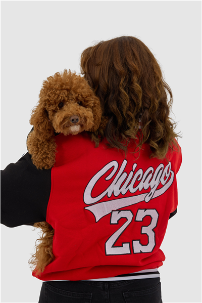 Kırmızı Chicago Kolej Ceket Yetişkin Kırmızı
