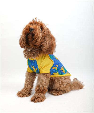 Spiky Tails T-Shirt Mavi