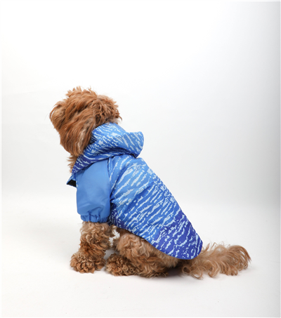 Teal Yağmurluk( Polar) Mavi