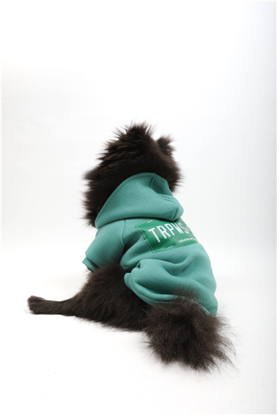 Trpws 34 Kapüşonlu Sweatshirt Mint Yeşil