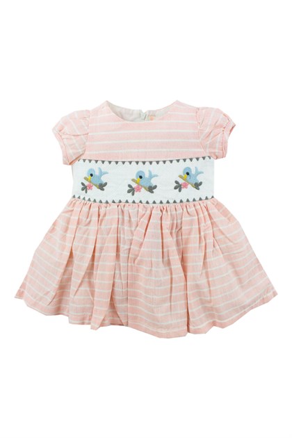 Kız Bebek Pudra Çizgili Kuşlu Elbise