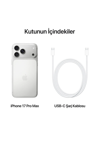 iPhone 17 Pro Max 256 GB Silver