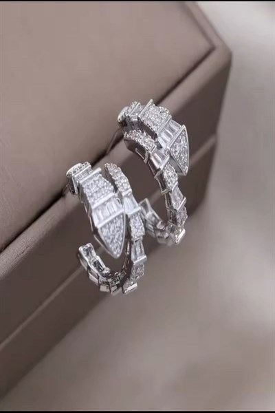 Kadın Çelik Küpe Luxury Marka Snake Kararmaz Küpe