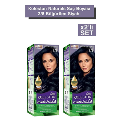 Naturals 2/8 Böğürtlen Siyah Saç Boyası x 2 adet