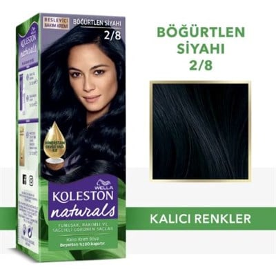 Naturals 2/8 Böğürtlen Siyah Saç Boyası