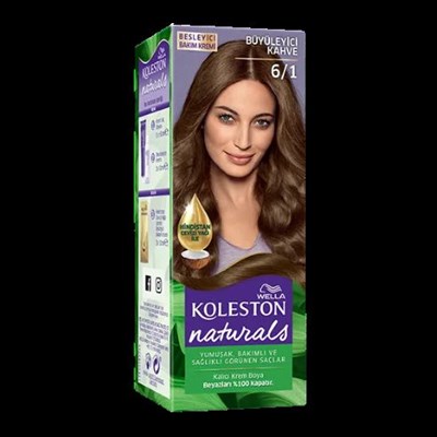 Naturals Saç Boyası 6/1 Büyüleyici Kahve