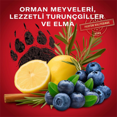 Old Spice Bearglove Erkek Duş Jeli ve Şampuan 1000 Ml XL Büyük Boy