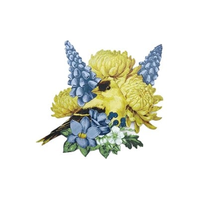 aviary-sunbird-sunum-mati-5a6464.jpg