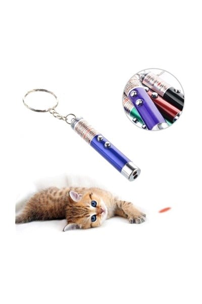 Kedi Köpek Oyun Lazeri Kedi Ve Köpek Oynama Lazer Anahtarlık Lazer