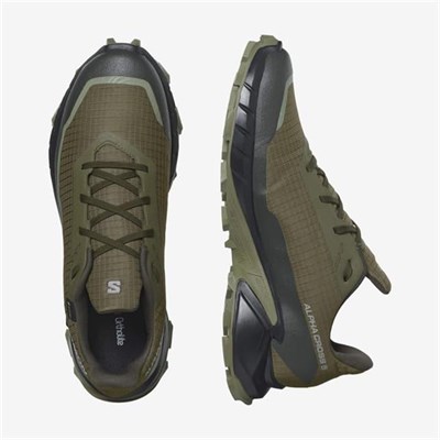 Salomon Alphacross 5 Gtx