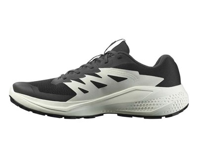 Salomon Alphaglide Erkek Ayakkabı