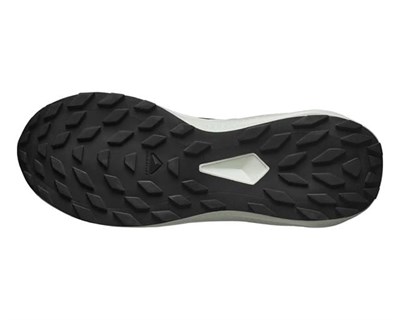Salomon Alphaglide Erkek Ayakkabı