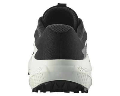 Salomon Alphaglide Erkek Ayakkabı