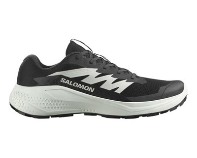 Salomon Alphaglide Erkek Ayakkabı