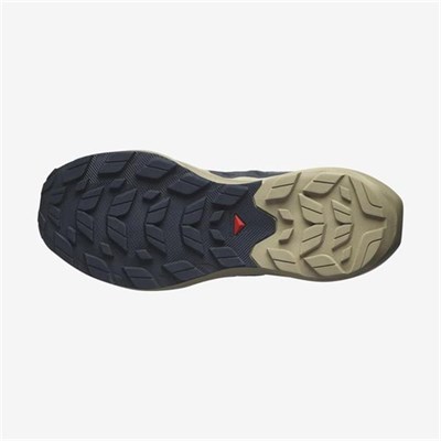 Salomon Elixir Activ Ayakkabı
