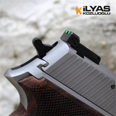 SıgSauer P226 Mat Krom Kaplama