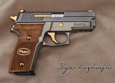 SıgSauer P229 Titanyum Kaplama