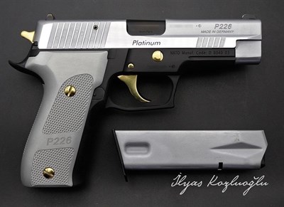 SıgSauer Platinum Elite