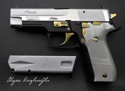 SıgSauer Platinum Elite
