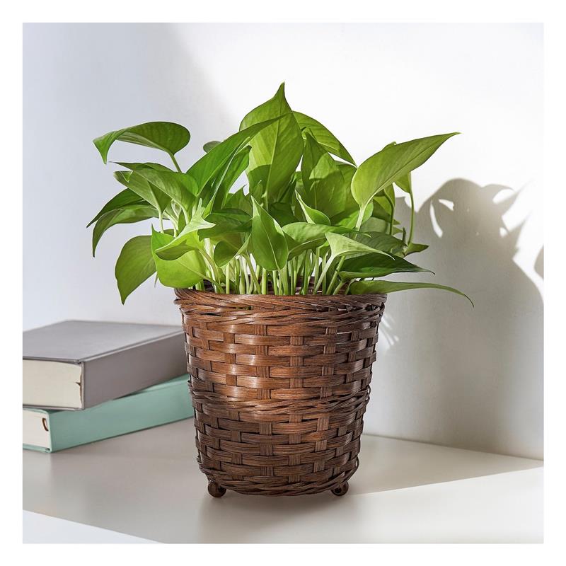 IKE KLIBBAL BAMBU SAKSI KAHVERENGİ 12 CM 80571213