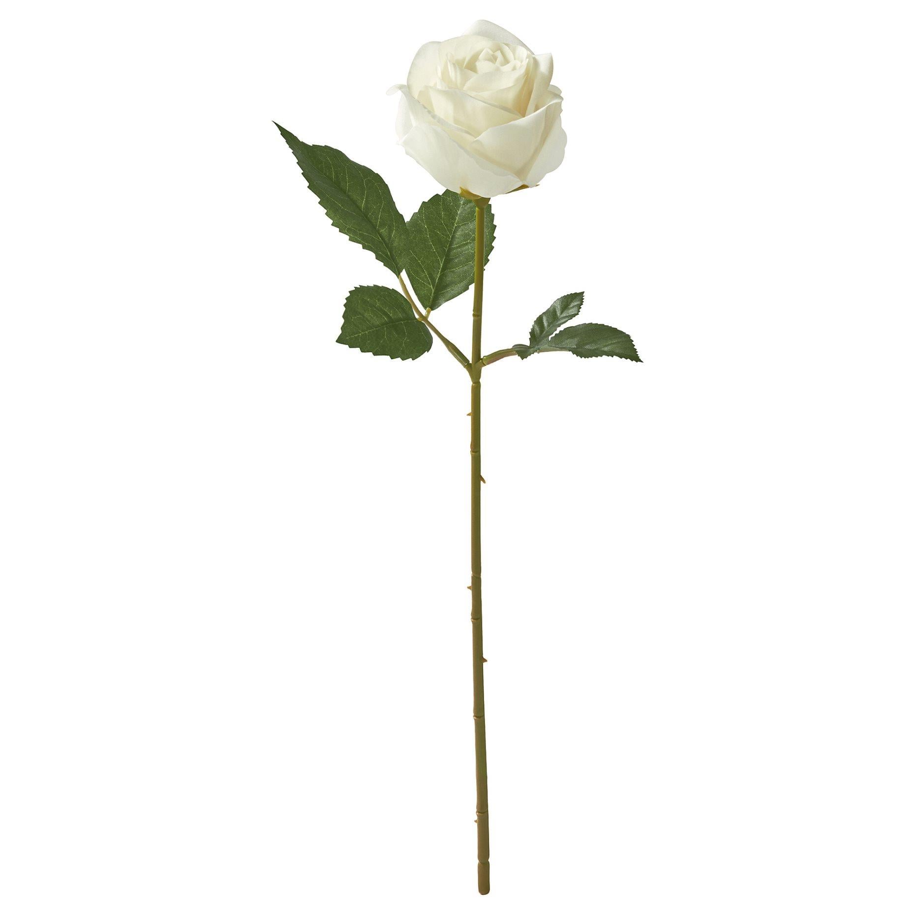 IKE SMYCKA YAPAY ÇİÇEK BEYAZ 40 CM YILDIZ ÇİÇEĞİ 60588752